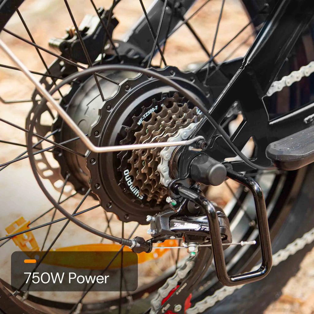 Bluvall SU8 Ebike - 48V 16Ah